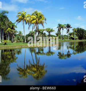 Royal Palm Lake in der Fairchild Tropical Botanic Garden in Miami Stockfoto