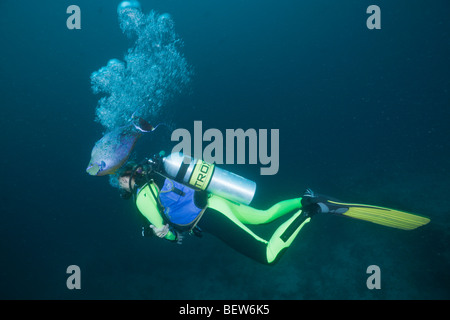 Bignose Unicornfish Baden in Air Bubbles Diver, Naso Vlamingii Höhlen Kandooma, Süd Male Atoll, Malediven Stockfoto