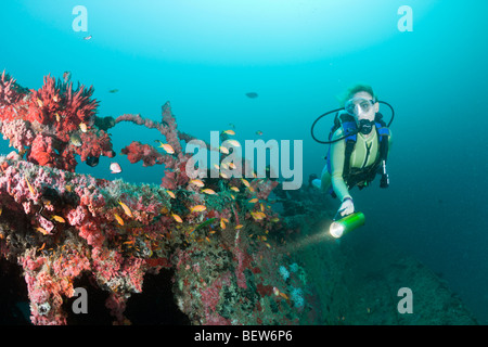 Taucher am Kuda Giri Wrack, Süd Male Atoll, Malediven Stockfoto