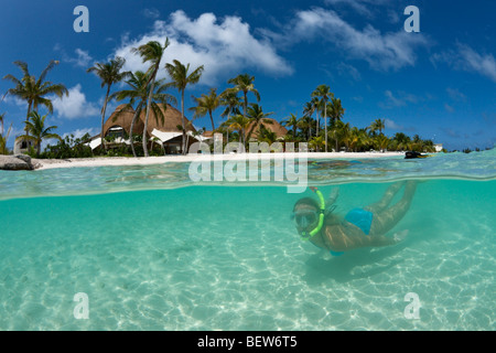 Haut, Tauchen Malediven, Süd Male Atoll, Malediven Stockfoto