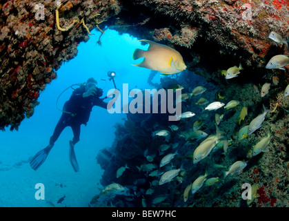 Unterwasser-Fotografen am Wrack Stockfoto