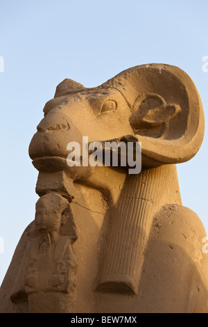 Zeile der Widderköpfige Sphingen am Karnak-Tempel, Luxor, Ägypten Stockfoto