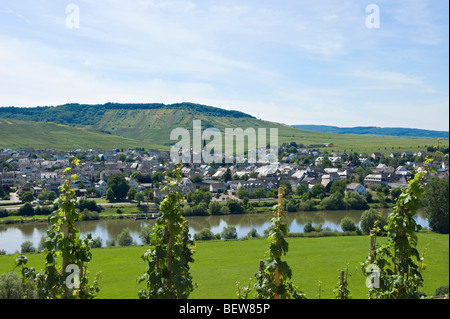 Blick über die Mosel, Leiwen, Rheinland-Pfalz, Deutschland Stockfoto