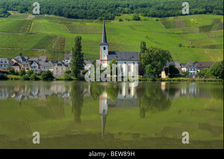 Blick über die Mosel, die Pfarrkirche St. Michael, Piesport, Deutschland Stockfoto