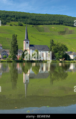 Blick über die Mosel, die Pfarrkirche St. Michael, Piesport, Deutschland Stockfoto