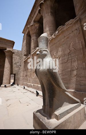 Horus-Falken-Statue am Tempel des Horus in Edfu Edfu, Ägypten Stockfoto