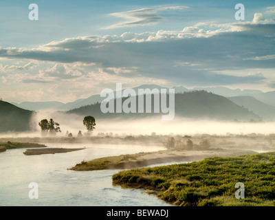 Buffalo-Tal, Wyoming, USA Stockfoto