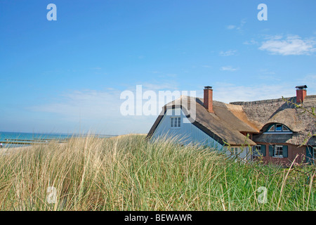 Strohgedeckte Haus mitten in den Dünen von Darß, Deutschland Stockfoto