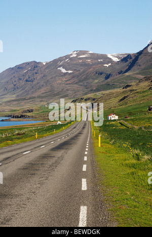 Küstenstraße in Island Stockfoto