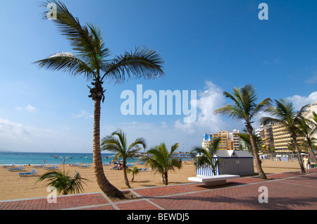 Strand von Las Palmas, Gran Canaria, Kanarische Inseln, Spanien Stockfoto