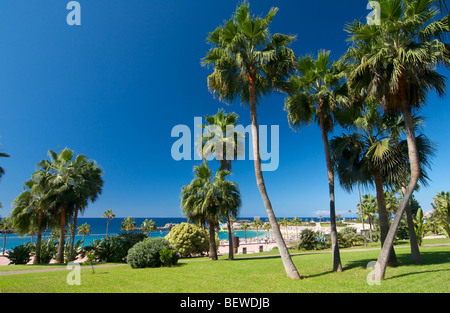 Strand von Puerto Rico mit Rasen und Palmen in den Vordergrund, Gran Canaria, Kanarische Inseln, Spanien Stockfoto