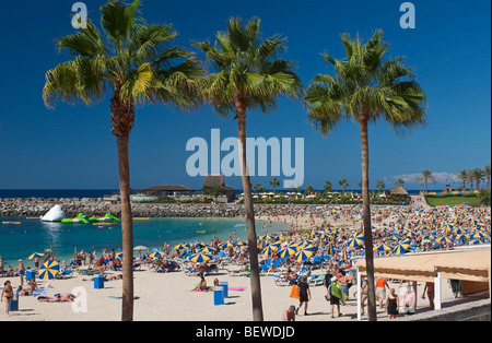 Touristen an der Playa de Amadores, drei Palmen im Vordergrund, Puerto Rico, Gran Canaria, Kanarische Inseln, Spanien Stockfoto