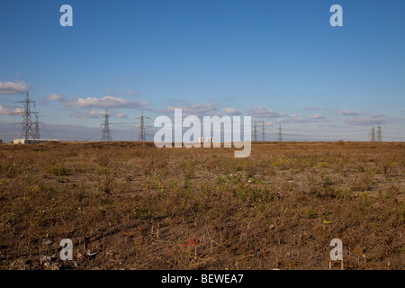 Braune Wiese am Bellen Riverside, Teil des Bereichs London Thames Gateway Stockfoto