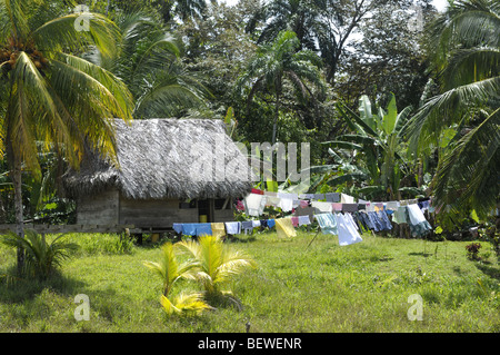 Haus im indischen Dorf Ngobe Bugle Salt Creek in der Nähe von Bocas Del Toro Panama Stockfoto