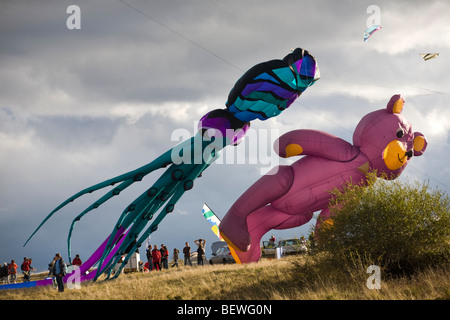 Octopus und Bären-förmigen Drachen zum Zeitpunkt des "Cervolix" Air Festival (Frankreich). Cerfs-Volants En Forme de Pieuvre et d'ours. Stockfoto