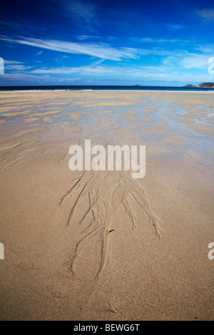 Ebbe, Sennen Cove, Nordcornwall Stockfoto