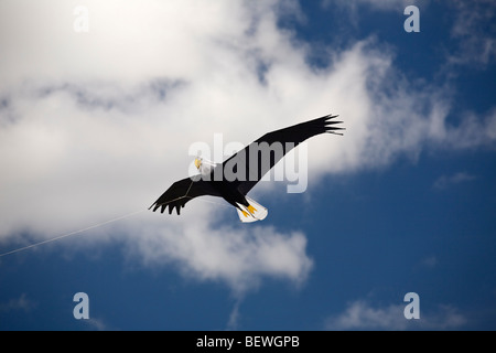 Ein Adler-förmigen Kite zum Zeitpunkt des "Cervolix" Air Festival (Auvergne - France). UN-Cerf-volant En Forme d ' Aigle (Auvergne). Stockfoto