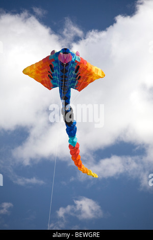 Ein Drachen zum Zeitpunkt des "Cervolix" Air Festival (Auvergne - Frankreich). Cerf-volant Lors du Festival herbeieilenden "Cervolix". Stockfoto