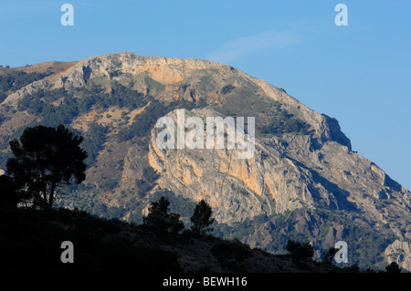 Landschaft. Pino Laricio (Pinus Nigra). Sierra de Cazorla Segura y Las Villas Naturpark. Provinz Jaen. Andalusien. Spanien Stockfoto