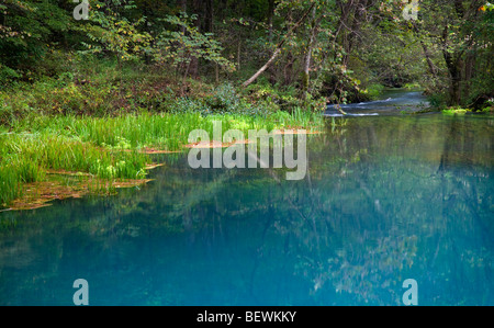 Alley Spring, Ozark National malerischen Parkanlagen, Missouri Stockfoto