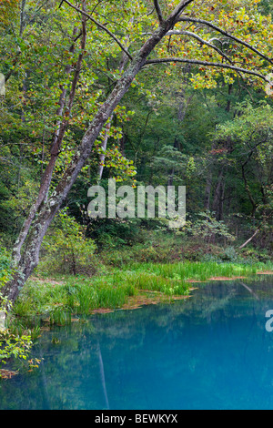 Alley Spring, Ozark National malerischen Parkanlagen, Missouri Stockfoto