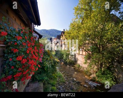 Typische Alsace befindet sich angrenzend an den Fluss Weiss bei Kaysersberg Elsass Frankreich Stockfoto