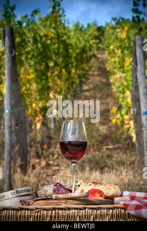 Französische PICKNICK IM FREIEN WEINBERG WEIN Picknick mit Rotwein Brot Käse und saucisson im französischen Weinberg Frankreich Stockfoto