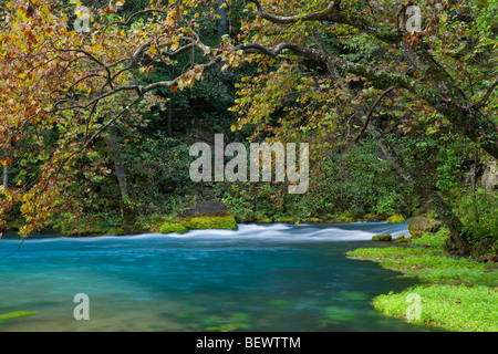 Big Spring, Ozark National malerischen Parkanlagen, Missouri Stockfoto