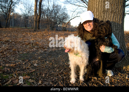 Frau mit Hunden. Stockfoto