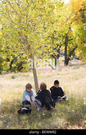 unter einem Baum einen Schulausflug im Herbst, Albuquerque, New Mexico USA durchgearbeiteten sitzen drei neun Jahre alte Jungen Stockfoto