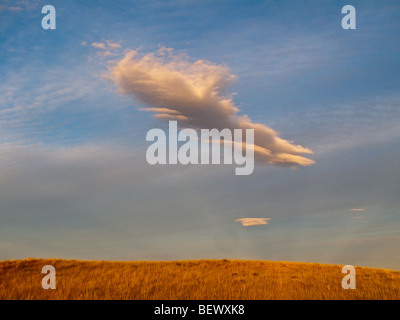Wolken bei Sonnenuntergang über Weizenfeld, Ethridge, Montana, USA Stockfoto