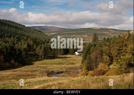 Scottish Borders im Frühherbst in der Nähe von Talla Reservoir Stockfoto