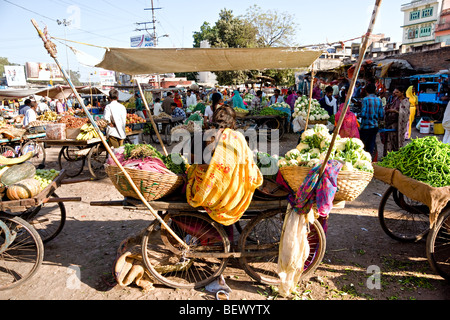 Leben auf der Straße um Udaipur und Ranakpur, Rajasthan, Indien. Stockfoto