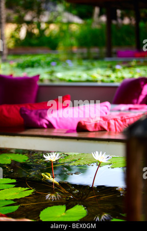 Schwimmendes restaurant Stockfoto