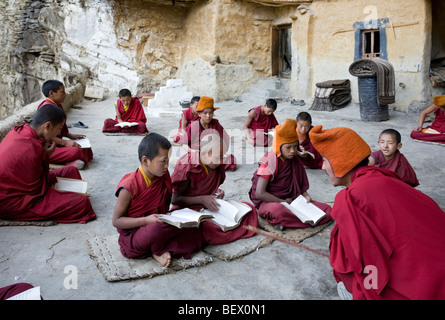 Novizen, die heiligen Schriften zu studieren. Phugtal Kloster. Zanskar. Indien Stockfoto