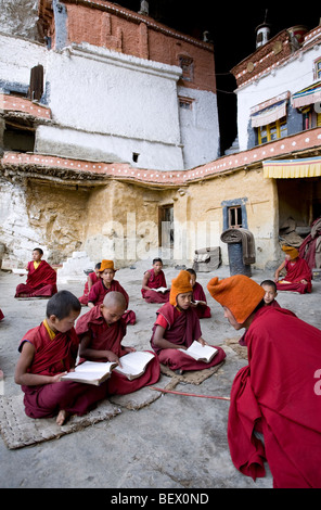 Novizen, die heiligen Schriften zu studieren. Phugtal Kloster. Zanskar. Indien Stockfoto