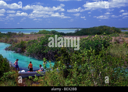 Mangrove, Mangroven, Mangrove stand, Feuchtgebiete, Feuchtgebiete, Wildlife Habitat, Sian Ka'an Biosphärenreservat, Quintana Roo, Yucatan, Mexiko Stockfoto