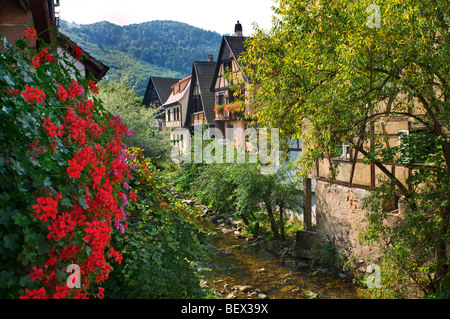 Typische Alsace befindet sich angrenzend an den Fluss Weiss bei Kaysersberg Elsass Frankreich Stockfoto