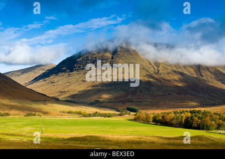 Ben Dorian Berg in der Nähe von Bridge of Orchy, Argyll und Bute, Schottland.  SCO 5391. Stockfoto