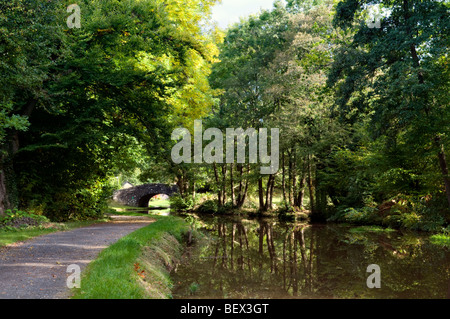 Alte Steinbrücke 134 auf die Monmouth und Brecon Canal House Mitte Wales Frühherbst mit perfekten noch Reflexion genommen Stockfoto