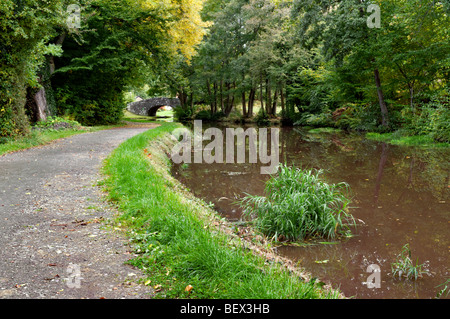 Alte Steinbrücke 134 auf die Monmouth und Brecon Canal House Mitte Wales Frühherbst mit perfekten noch Reflexion genommen Stockfoto