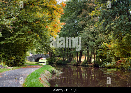 Alte Steinbrücke 134 auf die Monmouth und Brecon Canal House Mitte Wales Frühherbst mit perfekten noch Reflexion genommen Stockfoto