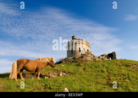 Shetland Pony stand vor eine Torheit Brough Lodge auf den Shetland-Insel Fetlar Stockfoto