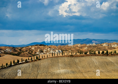 Weiße Straße, gesäumt von Zypressen, Crete Senesi, Toskana, Italien Stockfoto