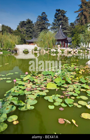 Chinesischer Garten in der Huntington Library. Stockfoto