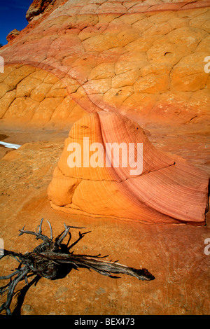 South Coyote Buttes im nördlichen Arizona, USA Stockfoto