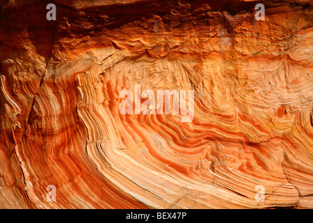 Wüste, Felsformation, die Welle, Textur, Coyote Buttes Stockfoto