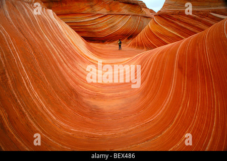 Coyote Buttes, die Welle Stockfoto