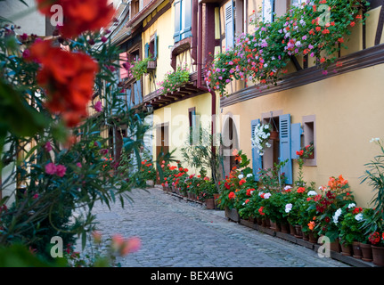 EGUISHEIM ruhigen Straße mit Kopfsteinpflaster der 'rue du Rempart' mit traditionellen Häusern und floralen Blumenkästen in mittelalterlichen Eguisheim Elsass Frankreich Stockfoto