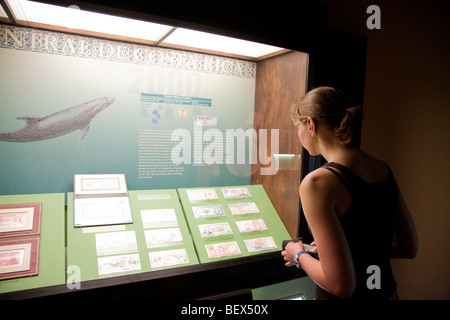 Museo Numismatico, numismatische Museum, San Jose costarica Stockfoto